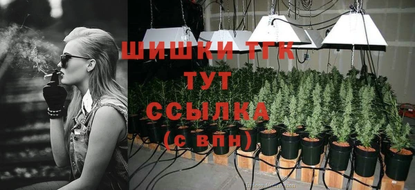 прущие крисы Володарск
