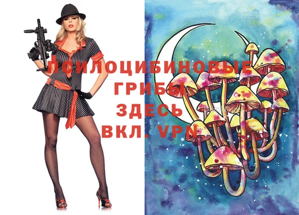 Альфа ПВП Волосово