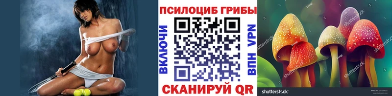 Псилоцибиновые грибы мицелий  Мурино 